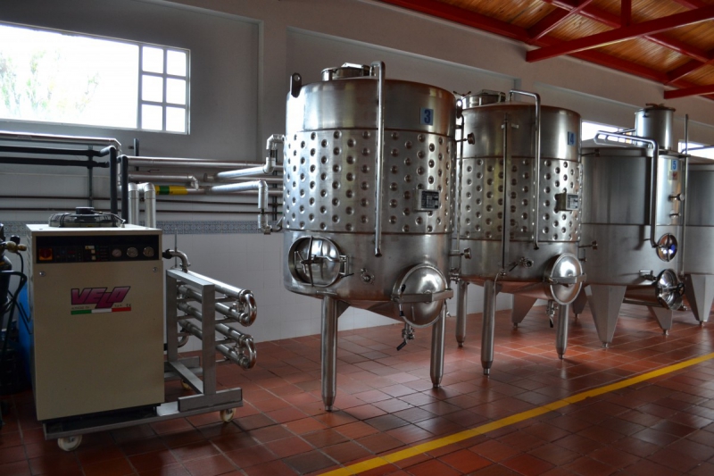 cave-PEGOMAS-min_wine_production_cantine_winery_drink_alcohol_vine_beverage-902036